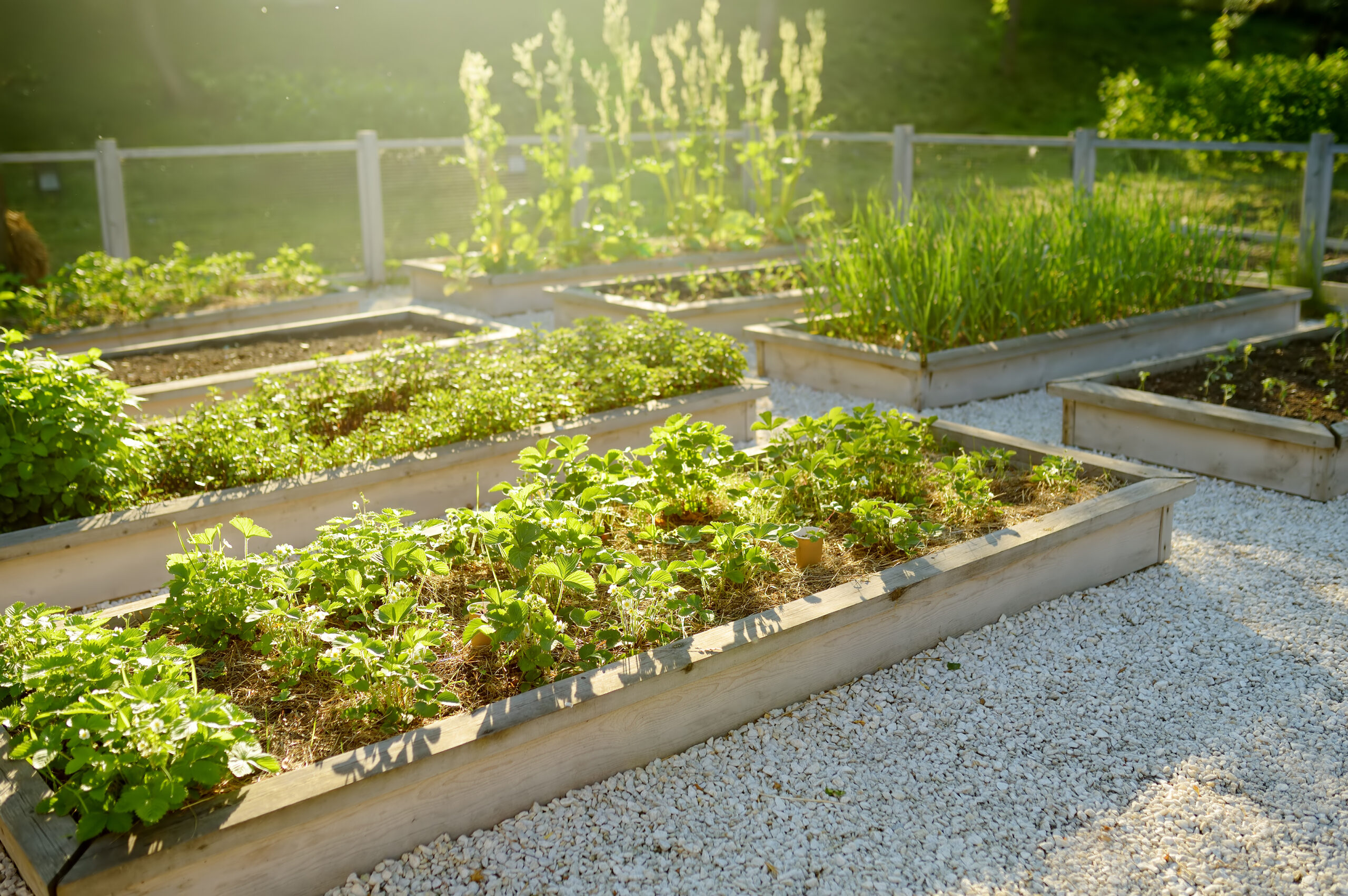 Featured image for “Connected Communities Earns Grants to Support Food Stability at Seven Massachusetts Apartment Communities”
